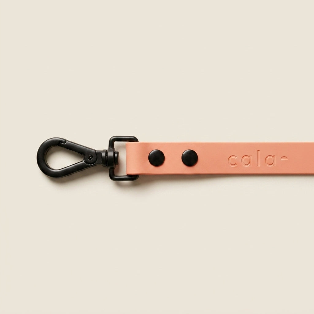 Sunset Coral