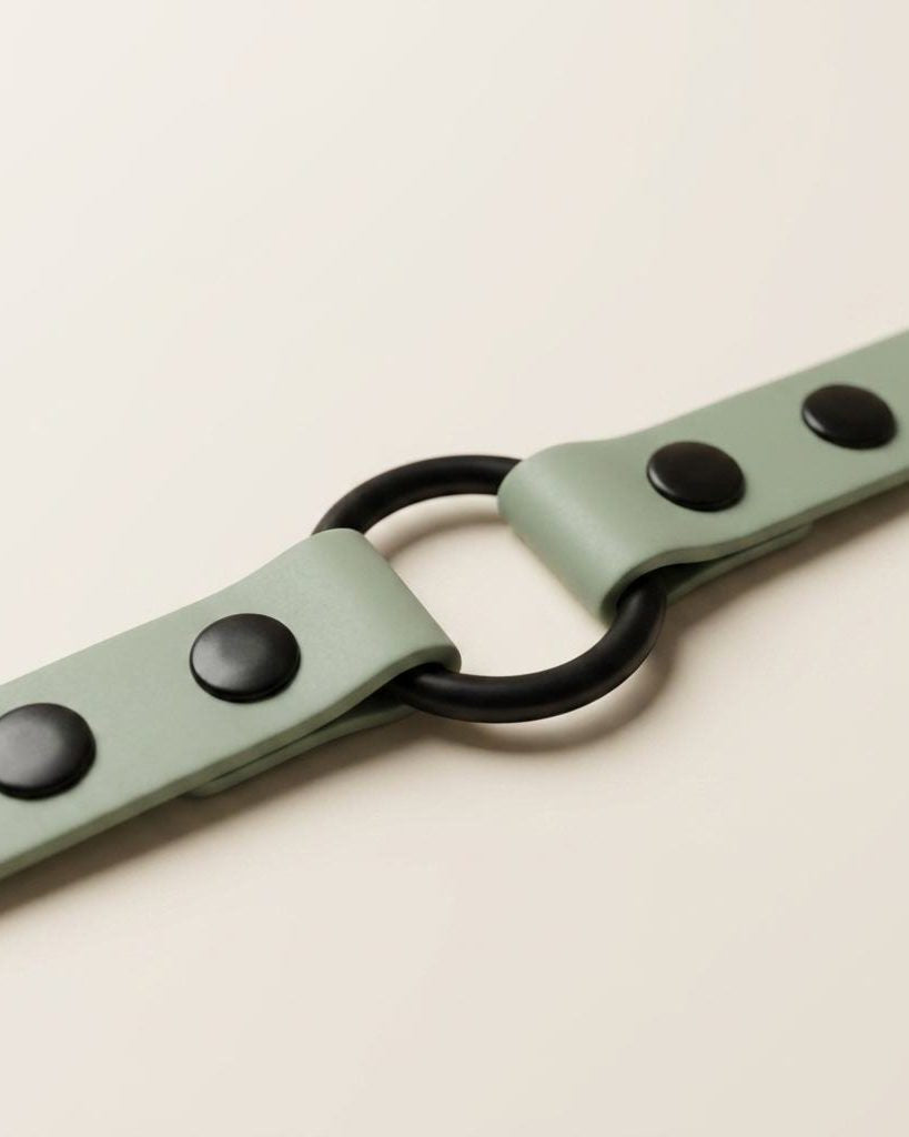 Tether — CALA convertible leash
